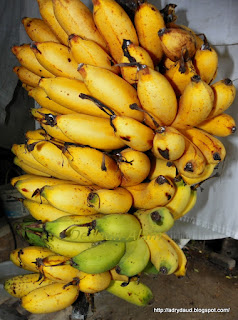 Image result for pisang kapas