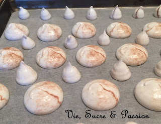 Meringue cookies mushrooms (minth)