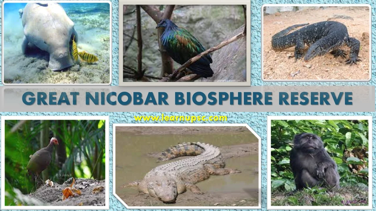 Great Nicobar Biosphere Reserve