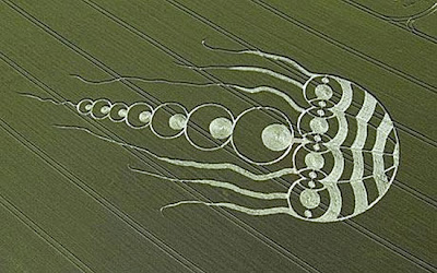 crop circle pictures