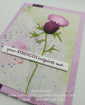 stampin up, beautiful thistle