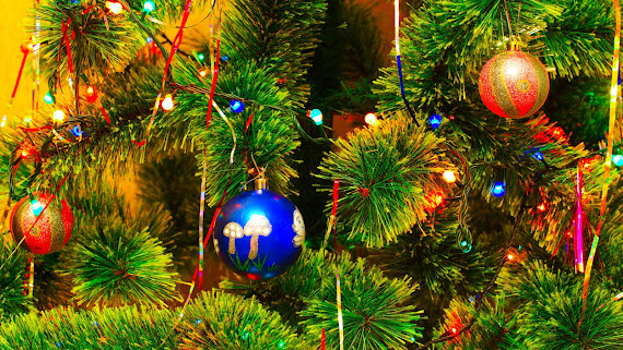 besplatne Božićne pozadine za desktop 1600x900 free download čestitke blagdani Merry Christmas