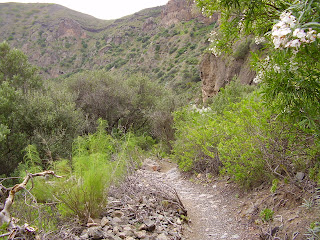 Sendero de la Caldera de Bandama