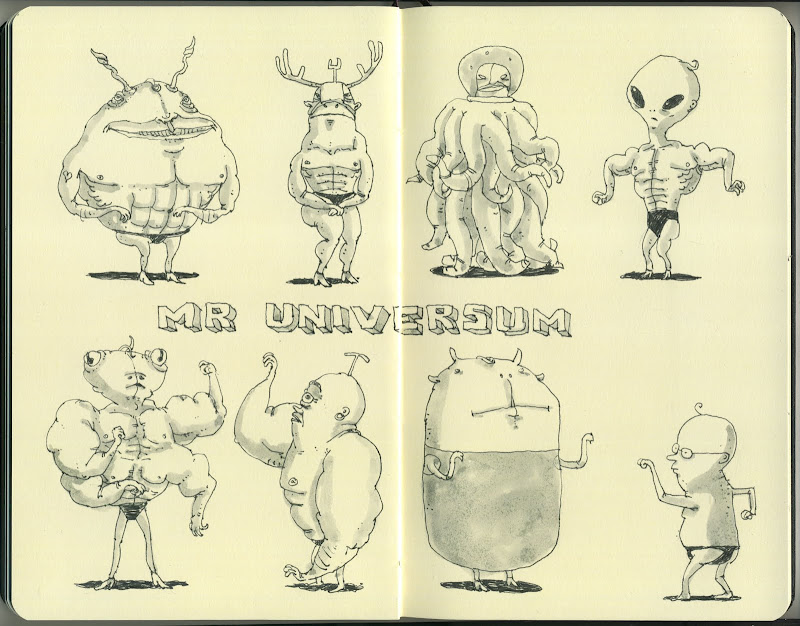 mr universum