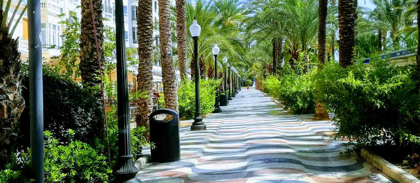 Photo of a long street walkway in Alicante which shows green bushes, trees, lamposts and a bin.