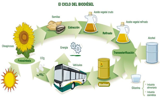 Convenio conjunto entre el municipio y la Escuela Agropecuaria para la producción de biodiesel