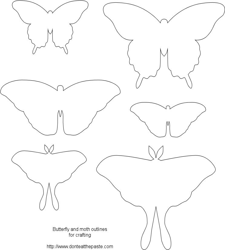 Butterfly Outlines