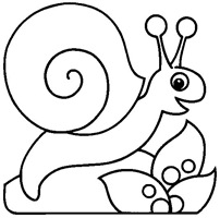 jccc caracoles  (9)