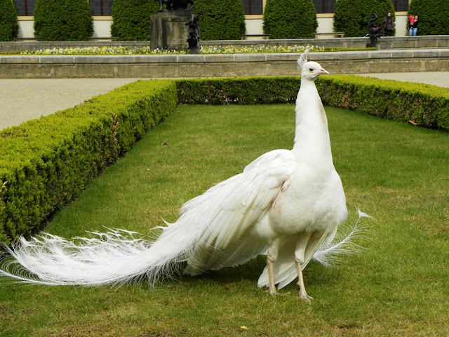 Wallenstein Palace Gardens