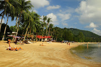 Scuba Diving Koh Tao