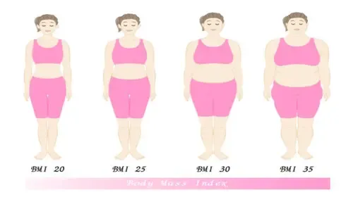 What's the Ideal BMI and Waist Size?