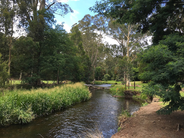 Latrobe River, Noojee