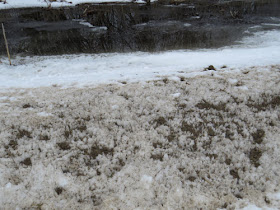 rotting snowbank