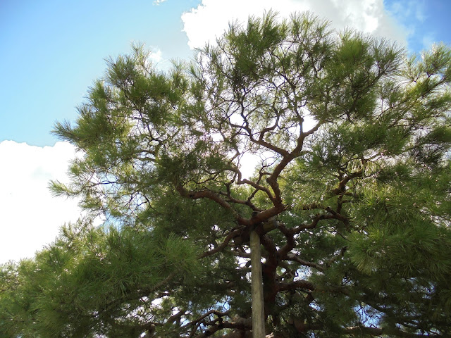 金沢兼六園