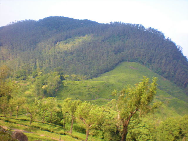 Manjolai Hills