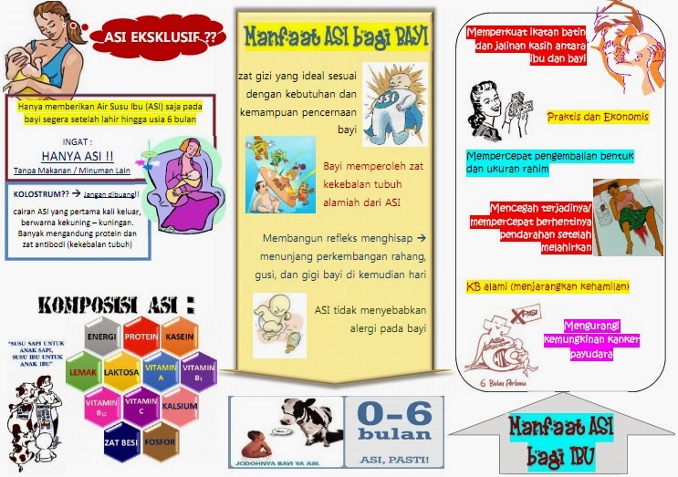 Kumpulan Materi Kebidanan: LEAFLET ASI EKSKLUSIF