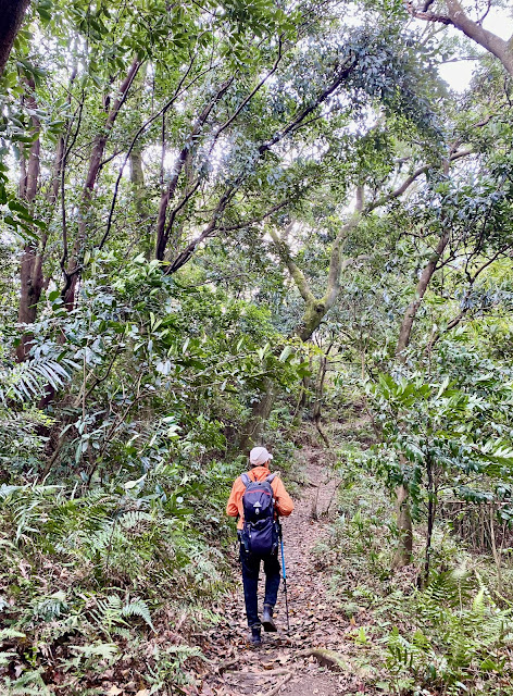 往鳶山彩壁