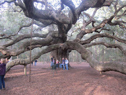 The Angel Oak