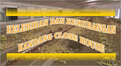 Kelebihan dan Kekurangan kandang Close House