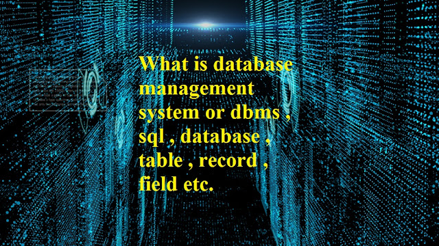 database related terms