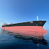 Wartsila collabora con Transworld Ship Management per la decarbonizzazione