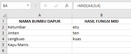 Langkah-Langkah Menggunakan Rumus Fungsi MID pada Microsoft Excel