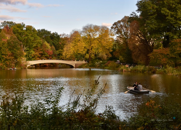 Bow Bridge in Central Park is breathtaking in fall! | Ms. Toody Goo Shoes #NewYorkCity 