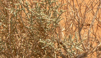 P1210480