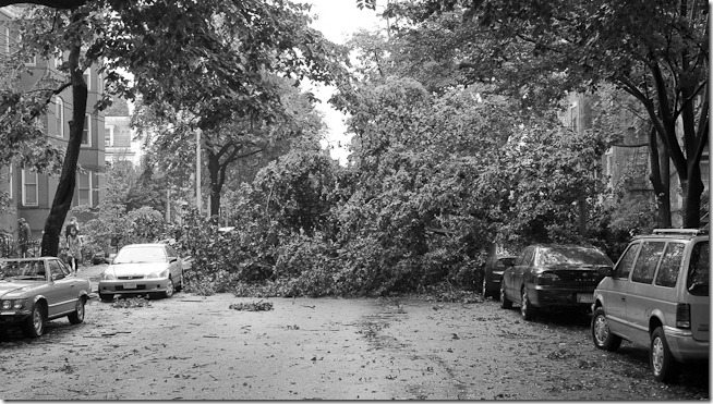 Hurricane Irene Crushed Cars Washington DC-2