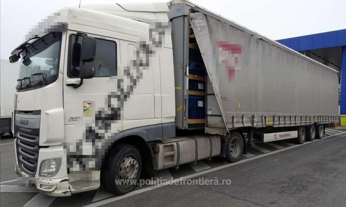 80 kg de tutun mărunțit descoperit ascuns într-un autocamion, în P.T.F. Calafat