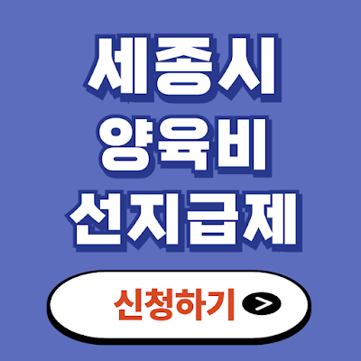 세종시 양육비