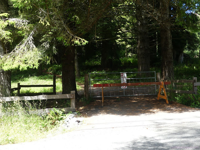 gate with trail around the side