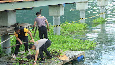 Dukung Event Aqua Bike Championship, Polres Samosir Bersihkan Enceng Gondok di Danau Toba
