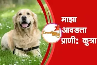 माझा आवडता प्राणी: कुत्रा  | Maza aavadata prani kutra nibandh.