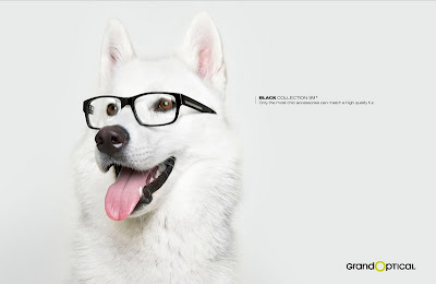 Creative Advertisement Using Animal Seen On  www.coolpicturegallery.us