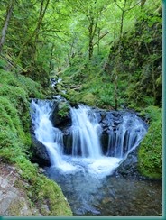 Columbia River Gorge (8)