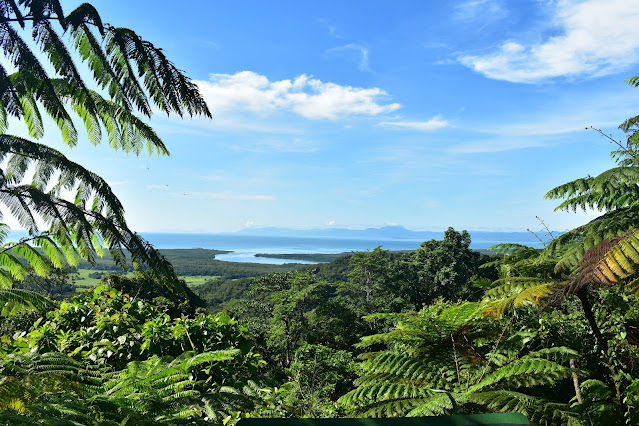 A view from the rainforest overlooking the ocean