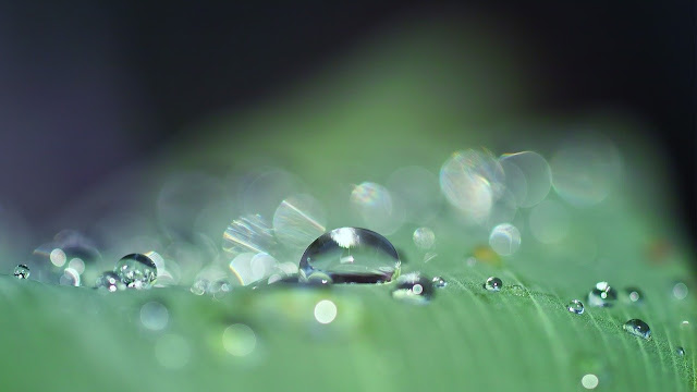 Water Drop Droplets HD Live Wallpaper