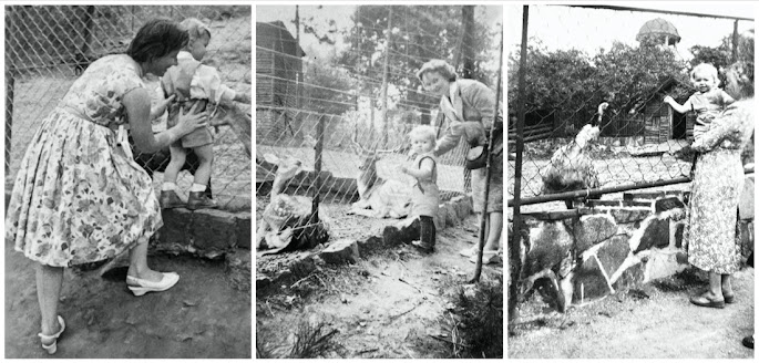 Frauen mit Kindern im Waldzoo