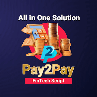 Pay2Pay Top FinTech Programming Solution pitching investors with financial startups features