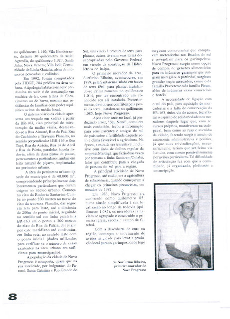 REVISTA NOVOS MUNICÍPIOS PARAENSES - MUNICÍPIO DE NOVO PROGRESSO – 1993