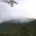 Hutan di Puncak Gunung Bulusaraung Kebakaran