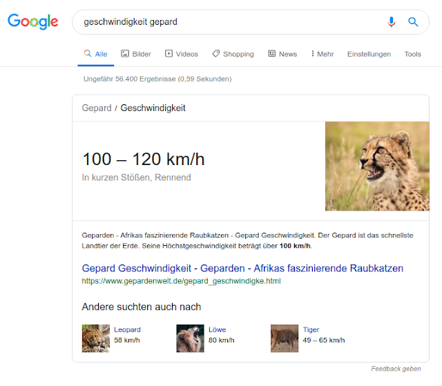 Beispiel für ein Featured Snippet auf Google