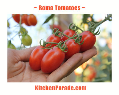 Roma Tomatoes, a plum tomato ♥ KitchenParade.com.