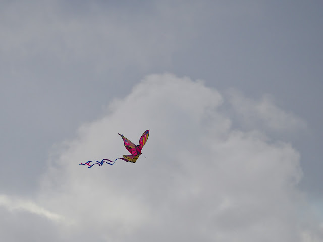 jiemve, le temps d'une pose, Canarias, les Canaries, Fuerte Ventura, cerf-volant