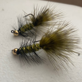 Jigged Wooly Bugger, Bead Head Wooly Bugger, Wooly Bugger, Wooly Bugger Fly, Fly Tying, How to tie a Wooly Bugger, Pat Kellner, Texas Freshwater Fly Fishing, TFFF, Fly Fishing Texas, Texas Fly Fishing, White Bass Fly, how to tie flies for white bass, guadalupe bass, sunfish, panfish, sunfish fly, panfish fly