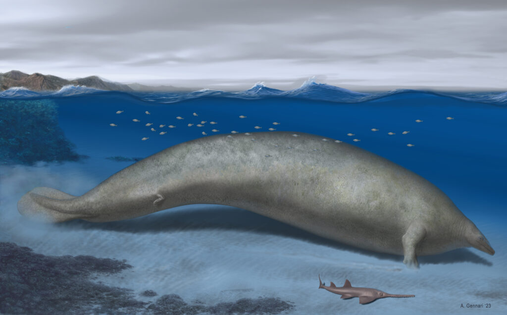 Καλλιτεχνική απεικόνιση της φάλαινας Perucetus colossus. [Credit: Alberto Gennari]