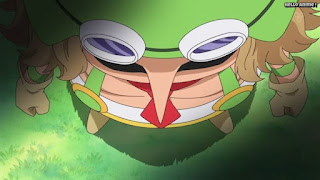 ワンピースアニメ ドレスローザ編 641話 レオ | ONE PIECE Episode 641