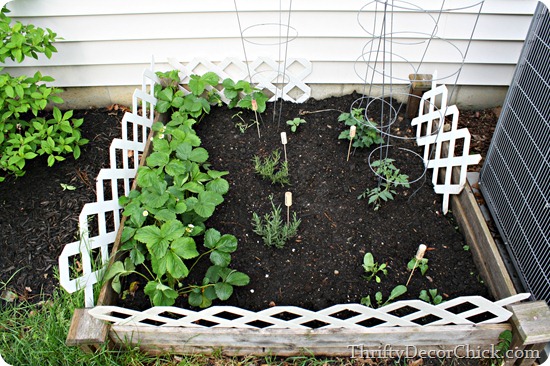 square foot garden
