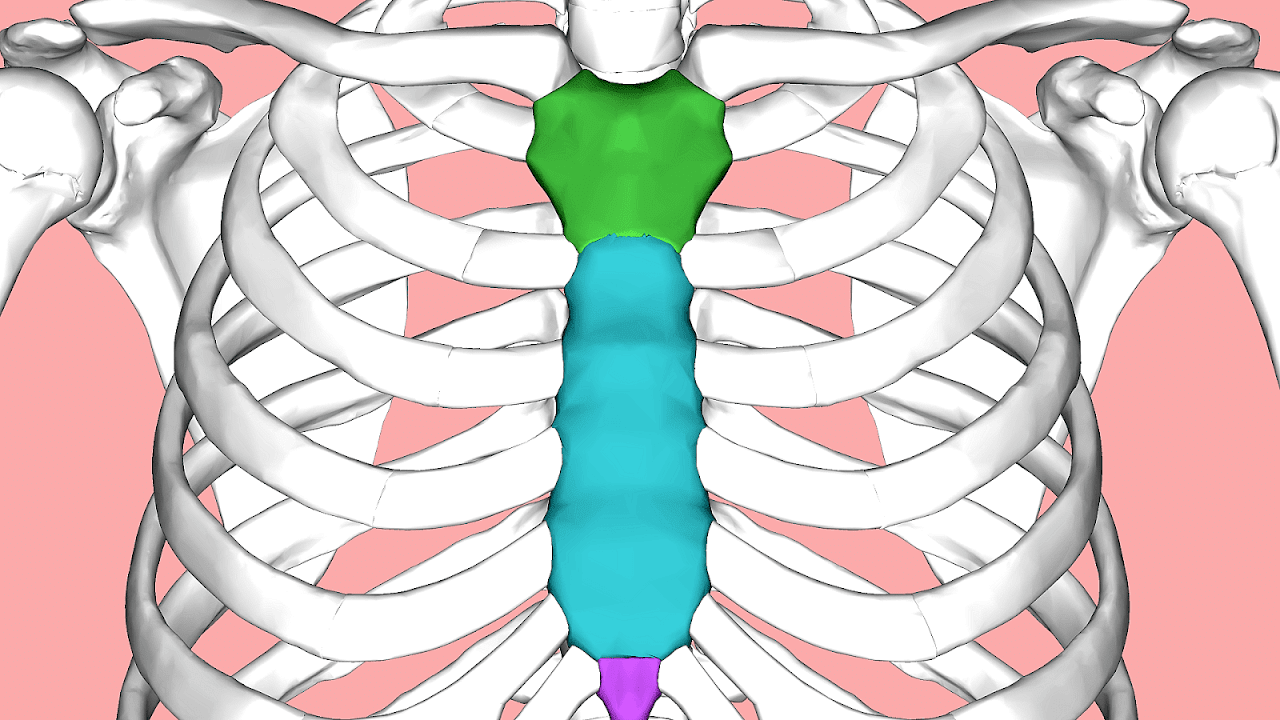 Sternum Injury Symptoms